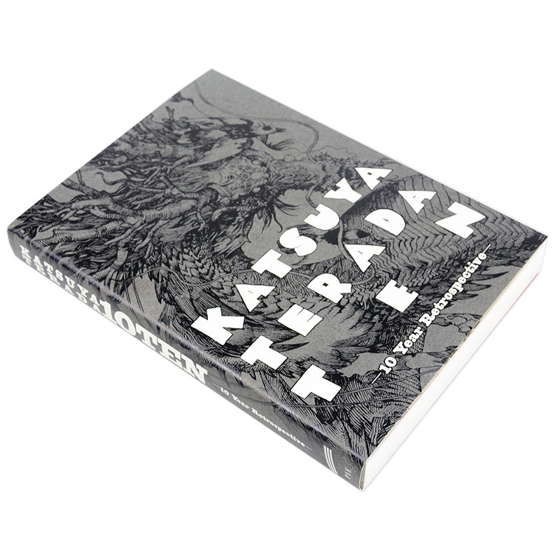 Katsuya Terada 10 Ten 10 Year  – Photography Book recenzja i cena